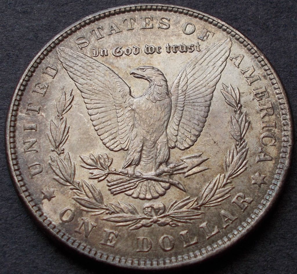 1886-Morgan